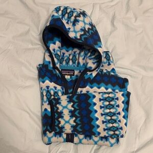 Patagonia Synchilla Fleece